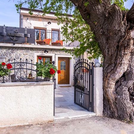 Villa Mulberry Milohnici المظهر الخارجي الصورة